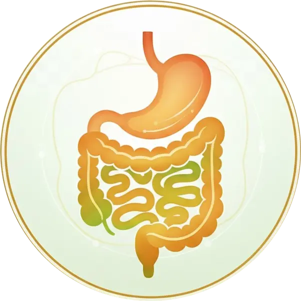 Digestive Care