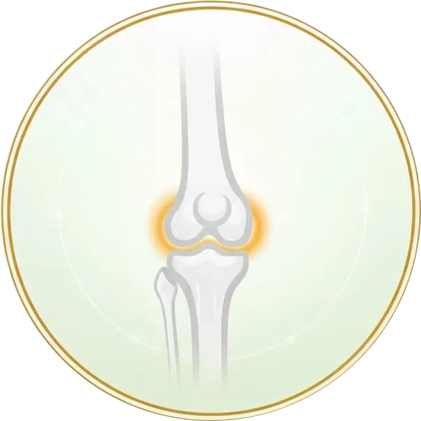 Joint Care