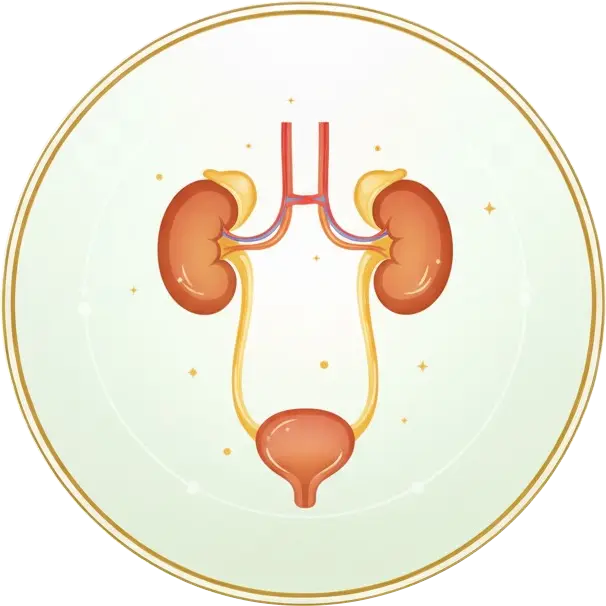 Urinary Care